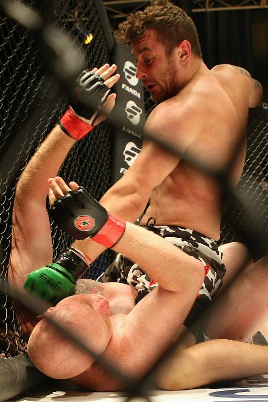 Drsnou zábavu v kleci s názvem MMA Cage Fight přivedl už podruhé do Brna oddíl Jetsaam Gym