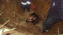 Hasiči zachránili psa z podzemí.