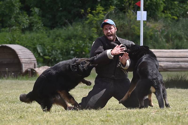 Dvacátý ročník Mezinárodního policejního mistrovství v jezdectví se konal v brněnské Panské Líše. Nechyběl ani doprovodný program s policejními ukázkami.