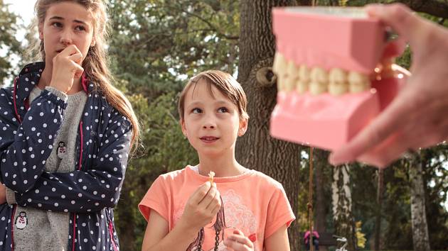 Festival zdraví a pohody v brněnských Lužánkách.