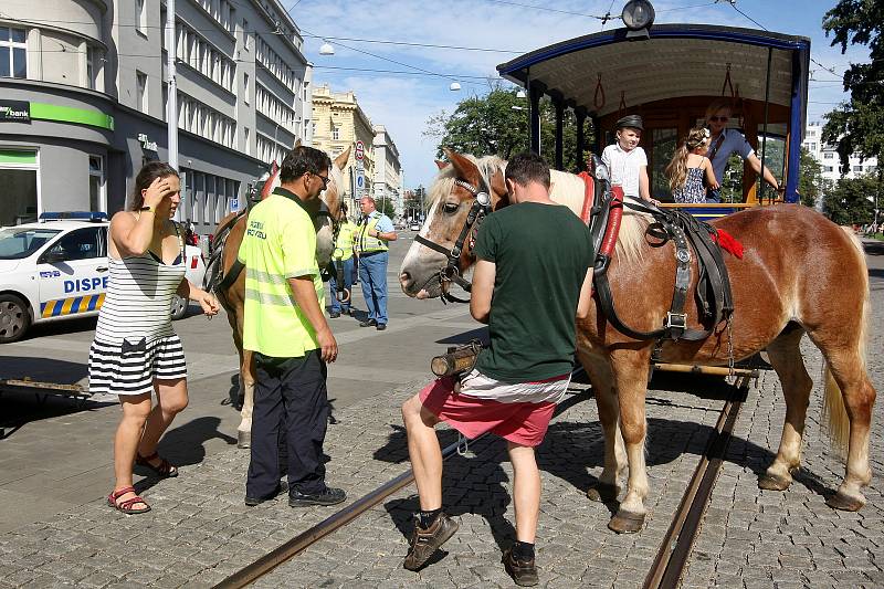 Jízdy historických vozů v rámci festivalu Ignis Brunensis.