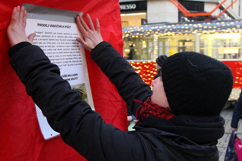 Protestní akce ochránců zvířat Prodej vánočních psů se konala v brněnské Masarykově ulici.