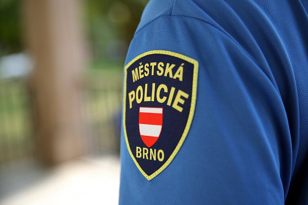 Městská policie Brno. Ilustrační foto