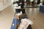 Kočárky dětské, loutkové, proutěné na dřevěných kolečkách i s umně vyplétanými ornamenty z pedigu nabízí nová výstava v Technickém muzeu v Brně.