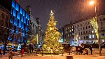Vánoční strom na náměstí Svobody. / Foto: Michal Růžička