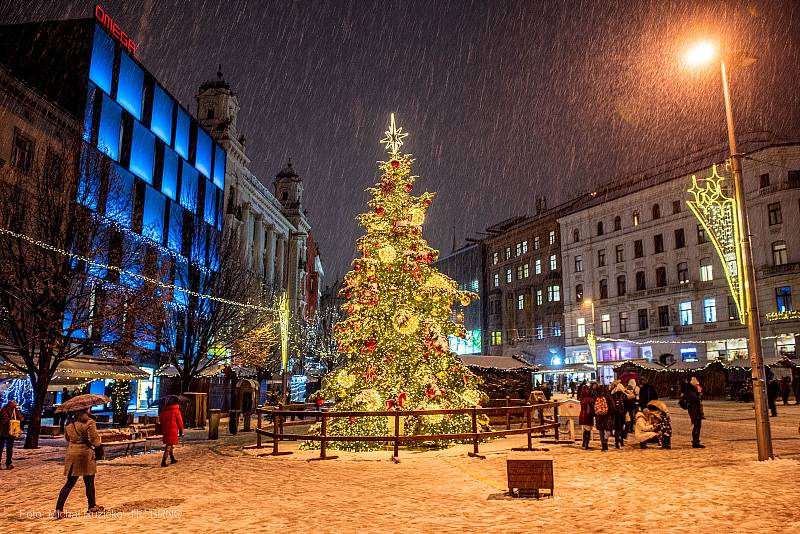 Vánoční strom na náměstí Svobody. / Foto: Michal Růžička