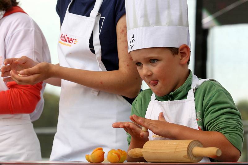 Židlochovické meruňkobraní 2019