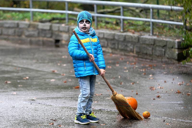 Necelá tisícovka lidí přišla v sobotu oslavit Halloween do brněnské zoo.