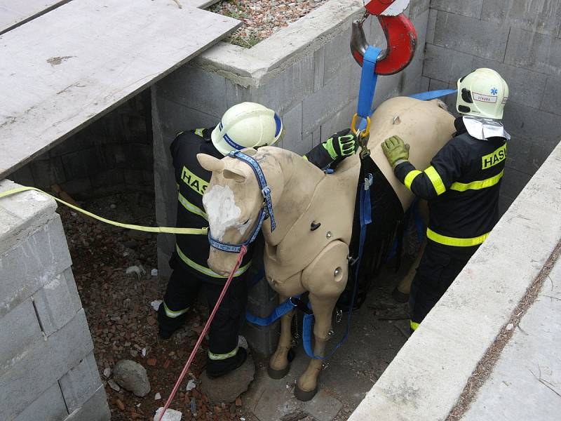 Hasiči se v brněnské Líšni učili používat speciální síť pro velká zvířata, kterou je možné vyprostit je z jam, studen nebo přemístit ze země do přepravníku. Využili přitom vůbec poprvé novou maketu koně.