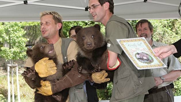 V brněnské zoo slavnostně pokřtili mláďata medvěda kamčatského. Lidé jim vybrali jména Kuba a Toby.