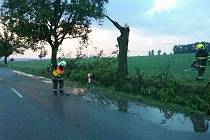 Pernou noc mají za sebou jihomoravští hasiči. Noční bouřka, která se ve čtvrtek kolem třetí nad ránem prohnala krajem, po sobě zanechala množství popadaných stromů i zatopenou ulici.