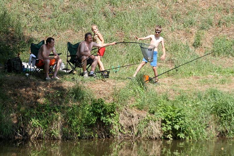 Vedra a sucha, která sužují Brněnsko od začátku června, si vybírají daň. Hladiny řek klesly o desítky centimetrů, některé menší potoky vyschly úplně.