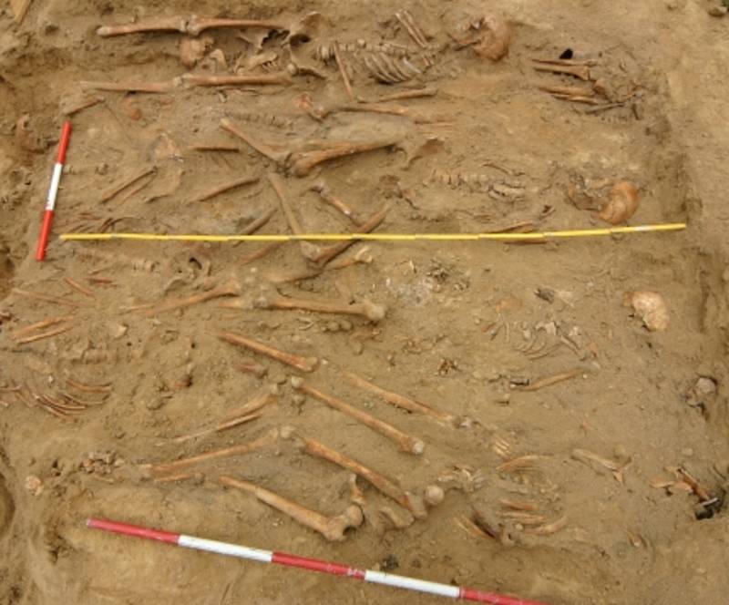 Hroby pruských vojáků, kteří na nemoc zemřeli, odkryli archeologové v Trtílkově ulici v Brně.