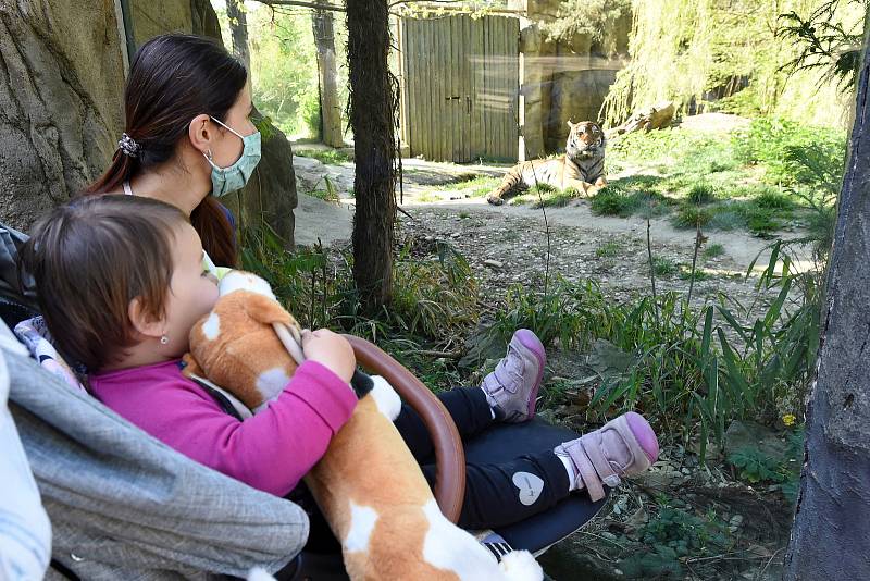 Otevření zoologické zahrady a obchodů v Brně.