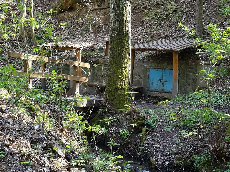 Cesta vedla od Křivé borovice po červené do Kočičího žlebu, dál k Betelné studánce a přes Rakovec k přehradě a kolem Svratky.