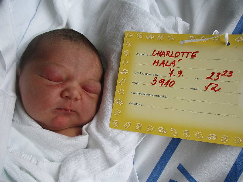 Charlotte Malá, 7. 9. 2022, Sedlec, Nemocnice Břeclav, 52 cm, 3910 g