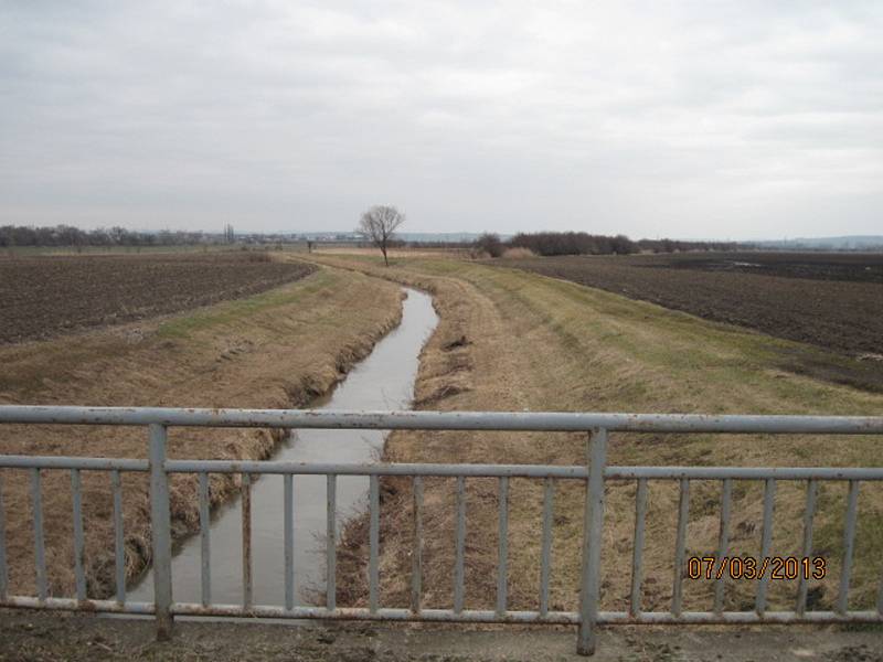 Trkmanka v Kobylí na Břeclavsku. Běžný stav.