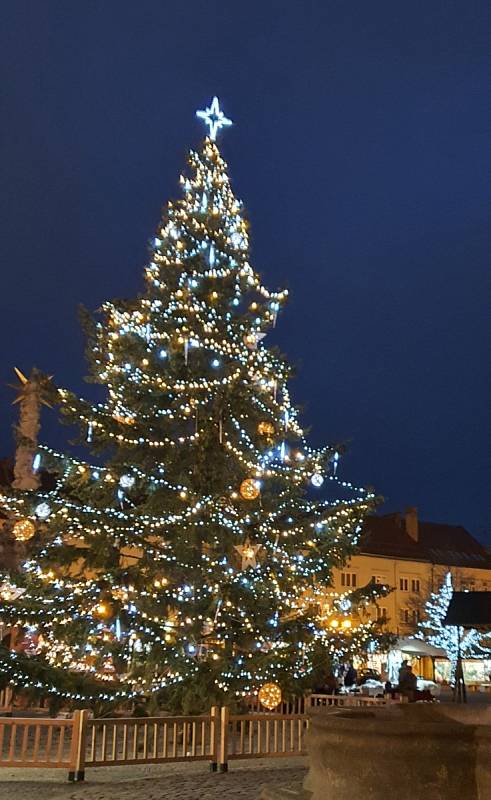 Vánoční strom ve Vyškově.