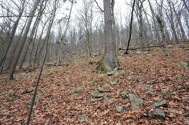 Rezervace Sokolí skála se tyčí nad řekou Svratkou u Doubravníku na Brněnsku. Kdysi tam hnízdili sokoli, ale lidé je vyhubili. Dodnes se tam ale vyskytují výři a krkavci. Poblíž je mlýn, kde žil a tvořil malíř Bohumír Matal.