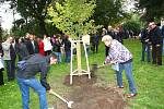 Účastníci akce Babylonfest v Brně zasadili stromy národů.