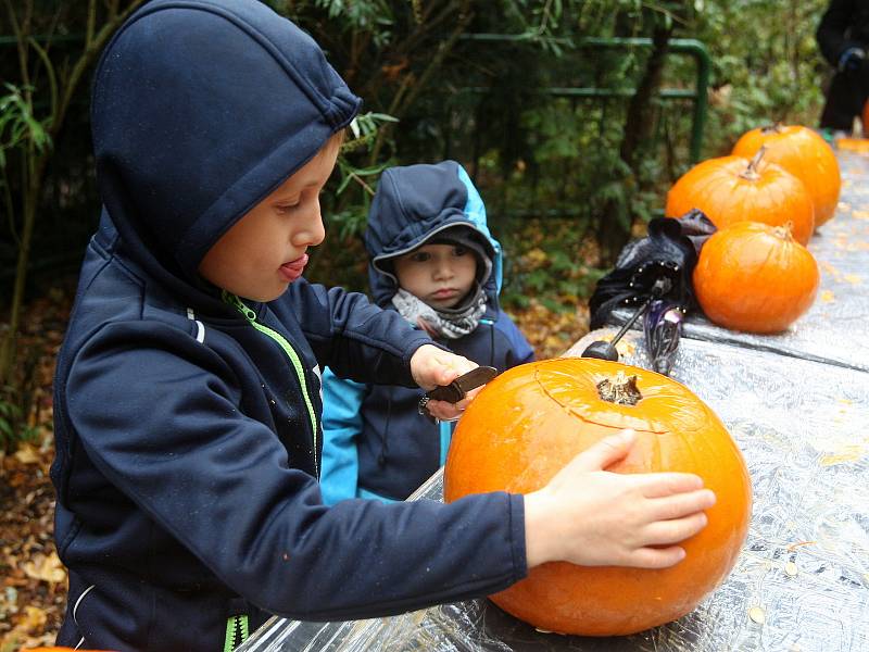 Necelá tisícovka lidí přišla v sobotu oslavit Halloween do brněnské zoo.