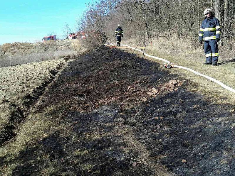 Plné ruce práce měli už od sobotního rána hasiči. Kvůli požárům trávy, lesních porostů a stromů museli zasáhnout jen do šesti hodin večer na desítce míst.