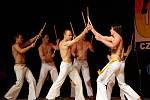 Brněnská skupina Grupo Candeias předvedla brazilské bojové umění capoeira.