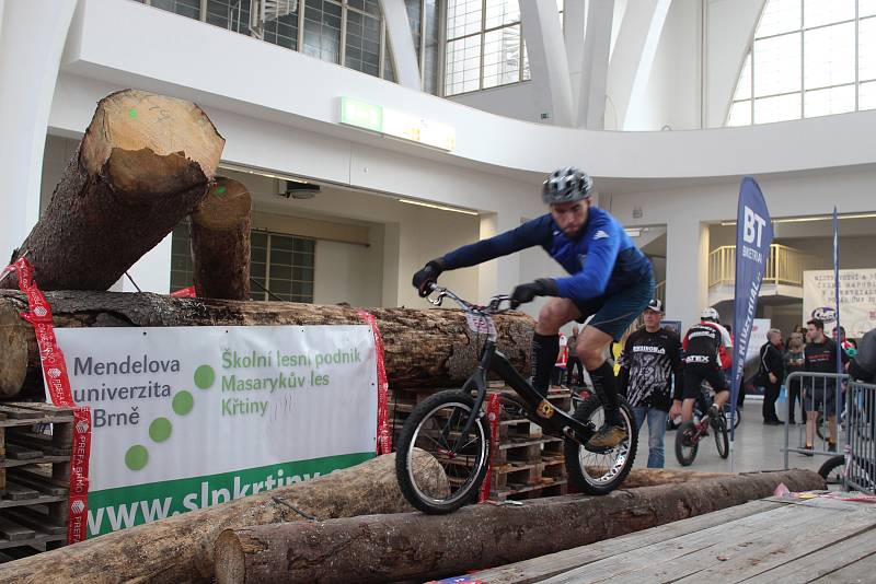 Nejrůznější druhy sportu, které se hrají ve stoje, vsedě i vleže, si mohli vyzkoušet návštěvníci festivalu Life! na brněnském výstavišti.