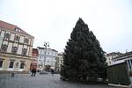 The vegetable market in the center of Brno is already decorating the Christmas tree.