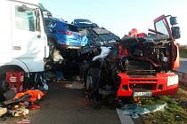 Při hromadné nehodě tří kamionů a auta zemřel člověk.