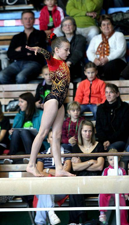 Mezinárodní Memoriál Jana Gajdoše pro gymnastické talenty.