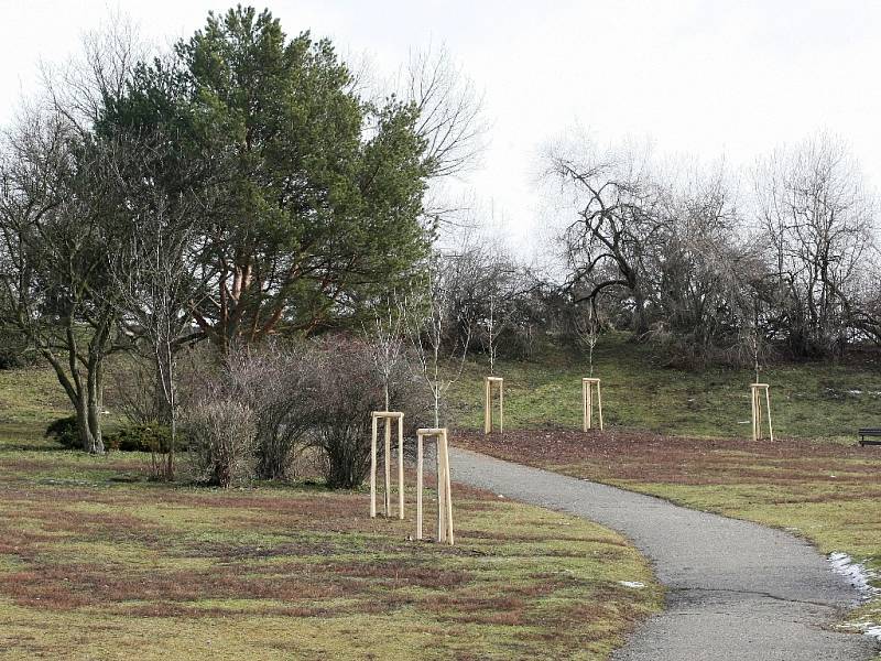 V současné době tvoří park na Kraví hoře především travnaté plochy protkané řadou cest. 