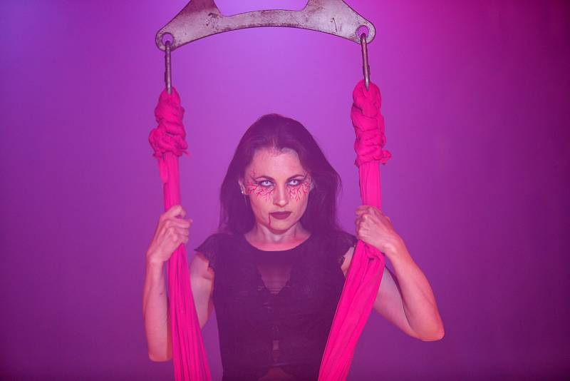 Cirkus Francesko Jung přivezl do Brna svoji akrobatickou show nazvanou Paranormal circus. Během představení se mohou návštěvníci těšit na odkazy ze známých hororů a barevnou akrobatickou podívanou.