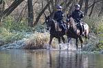 Policejní kontrola v chatové oblasti u Čučic na Brněnsku.