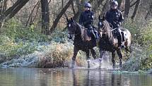 Policejní kontrola v chatové oblasti u Čučic na Brněnsku.