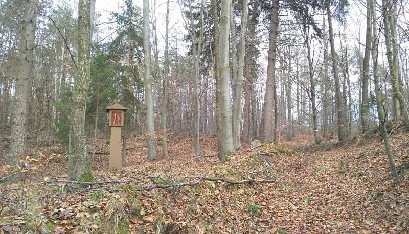 Prostor pro rozjímání i příjemnou procházku nabídne poutní cesta Sedm radostí Panny Marie, která na jaře vznikne mezi Českou, Lelekovicemi a Vranovem na Brněnsku.