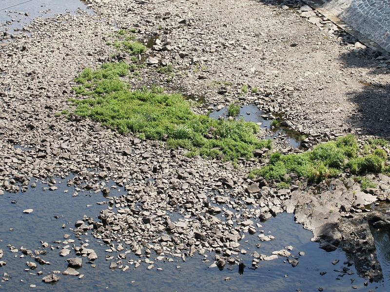 Vedra a sucha, která sužují Brněnsko od začátku června, si vybírají daň. Hladiny řek klesly o desítky centimetrů, některé menší potoky vyschly úplně.