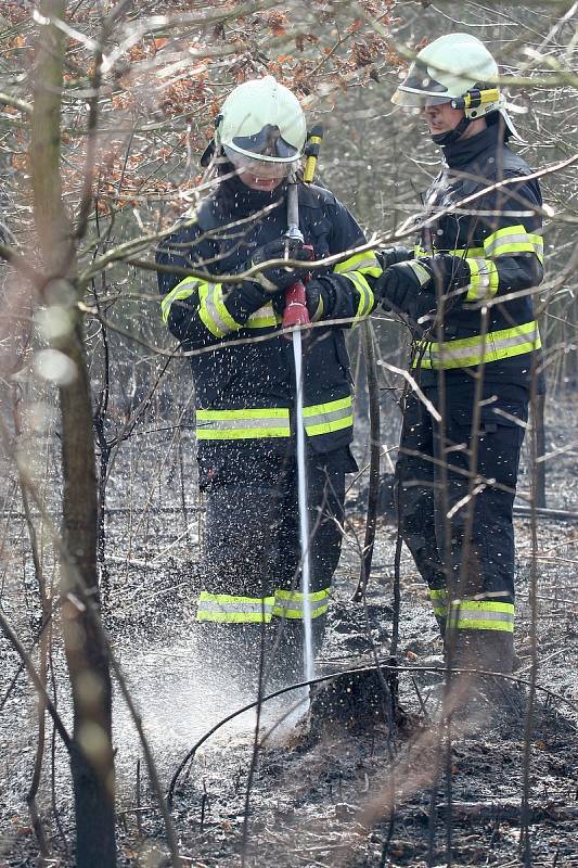 Požár lesa u Oslavan na Brněnsku.