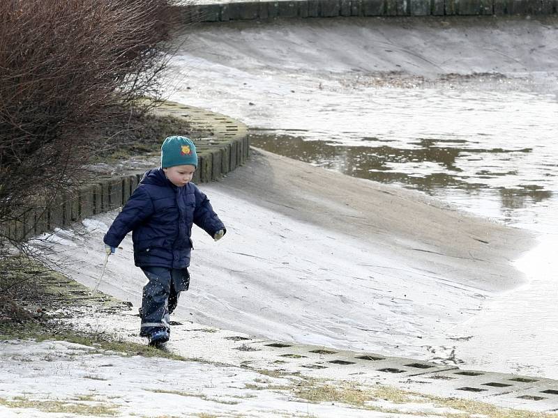 V současné době tvoří park na Kraví hoře především travnaté plochy protkané řadou cest. 