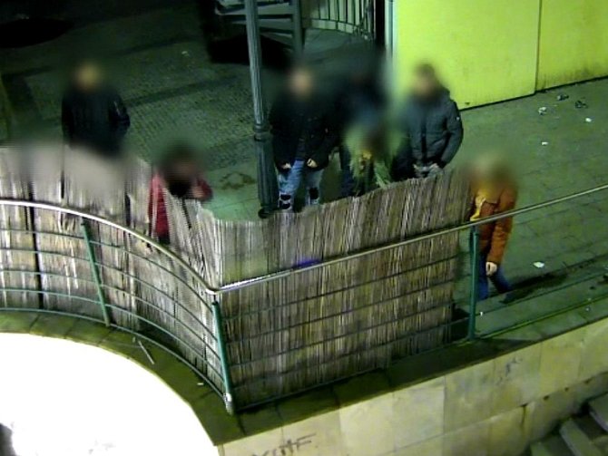 Rákosový plot ničila skupina mladíků u zadního vchodu do nákupního centra v brněnské Starobrněnské ulici.