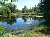 Jedno z míst, kam povedou výlety s odborníky - Holásecká jezera v Brně.