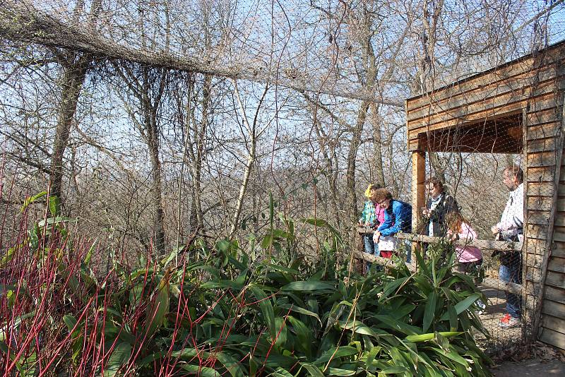 V brněnské zoo v sobotu lidé uvítali jaro. Stalo se tak svržením Morany, kterou dětští návštěvníci přemohli papírovými koulemi. Lidé si také užili kulturní vystoupení, malování na obličej nebo speciální komentovaná setkání se zvířaty.