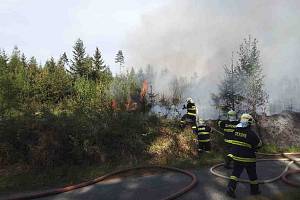 Požár lesa nedaleko Újezdu u Rosic.