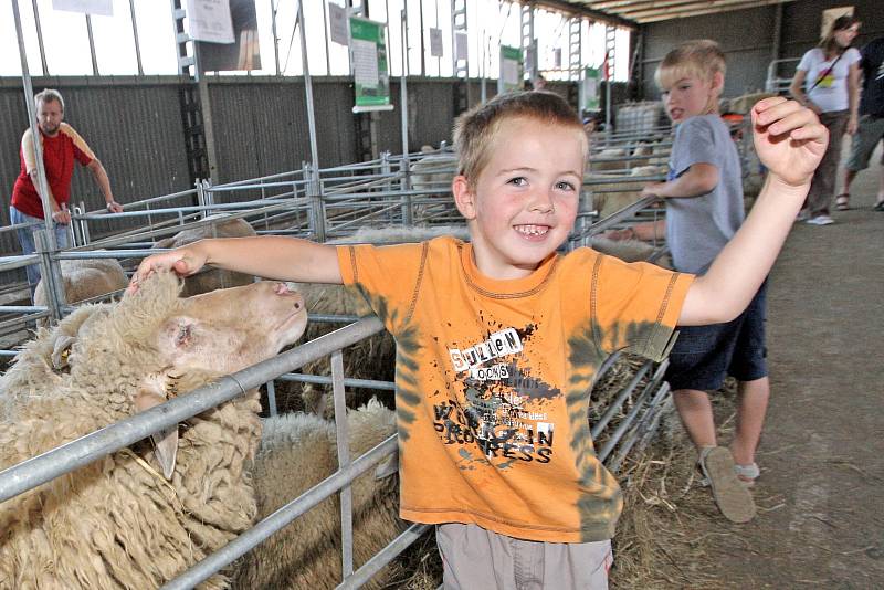 Ovce, kozy, tradiční řemesla nebo soutěž v pojídání brynzových halušek nabídly letošní Ovenálie, které začaly v sobotu a skončily v neděli v přírodním areálu ve Zlobicích u Lipůvky na Brněnsku.