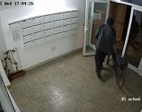 Brněnští policisté pátrají po muži na záznamu, kterého zachytila bezpečnostní kamera při krádeži kola v domě v brněnských Štýřicích.