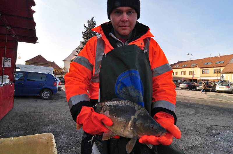 Prodej kaprů na náměstí v Pohořelicích na Brněnsku