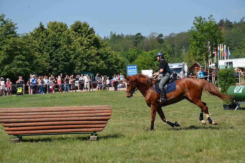 Tradiční Mezinárodní policejní mistrovství v jezdectví se konalo v sobotu v brněnském areálu Panská Lícha.