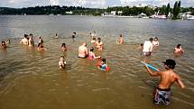 Suché nás nedostanou, ozývalo se v sobotu odpoledne z pláže Šipka na Brněnské přehradě. 