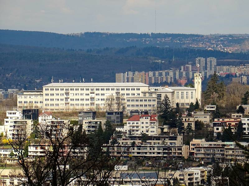 Velikonoční vycházka k Kohoutovic do Žebětína nabída výhledy na brno i přírodu v oboře Holedná.