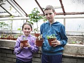 Příměstský tábor brněnského střediska volného času Lužánky nabízí dětem seznámení s kaktusy a rostlinami.
